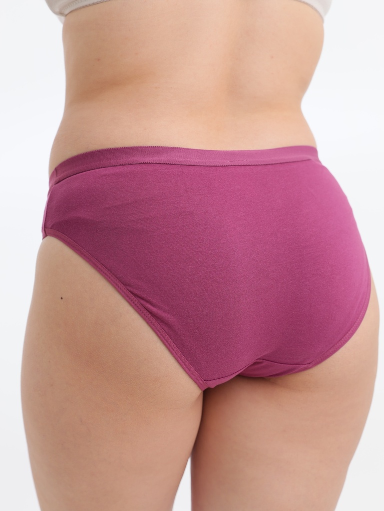 Panty bikini de algodon (LP1362CK7)