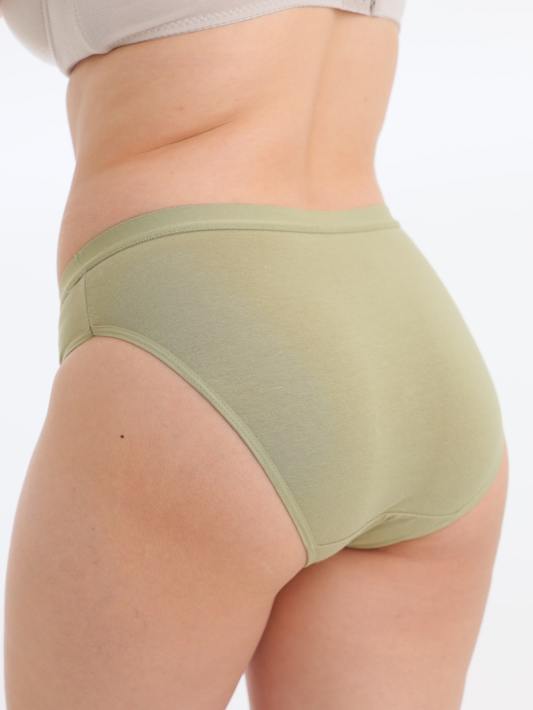 Panty bikini de algodon (LP1362CK7)