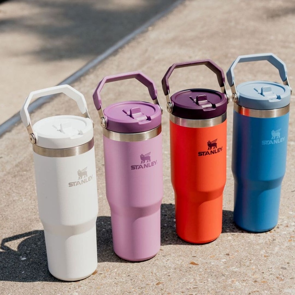 Vaso Stanley Sport