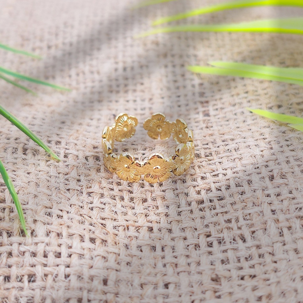 Anillo Acero