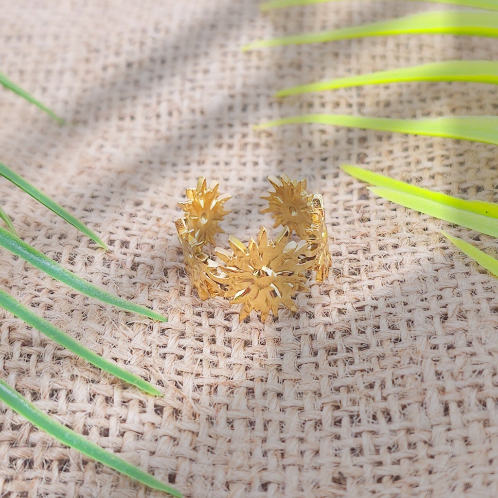 Anillo Acero