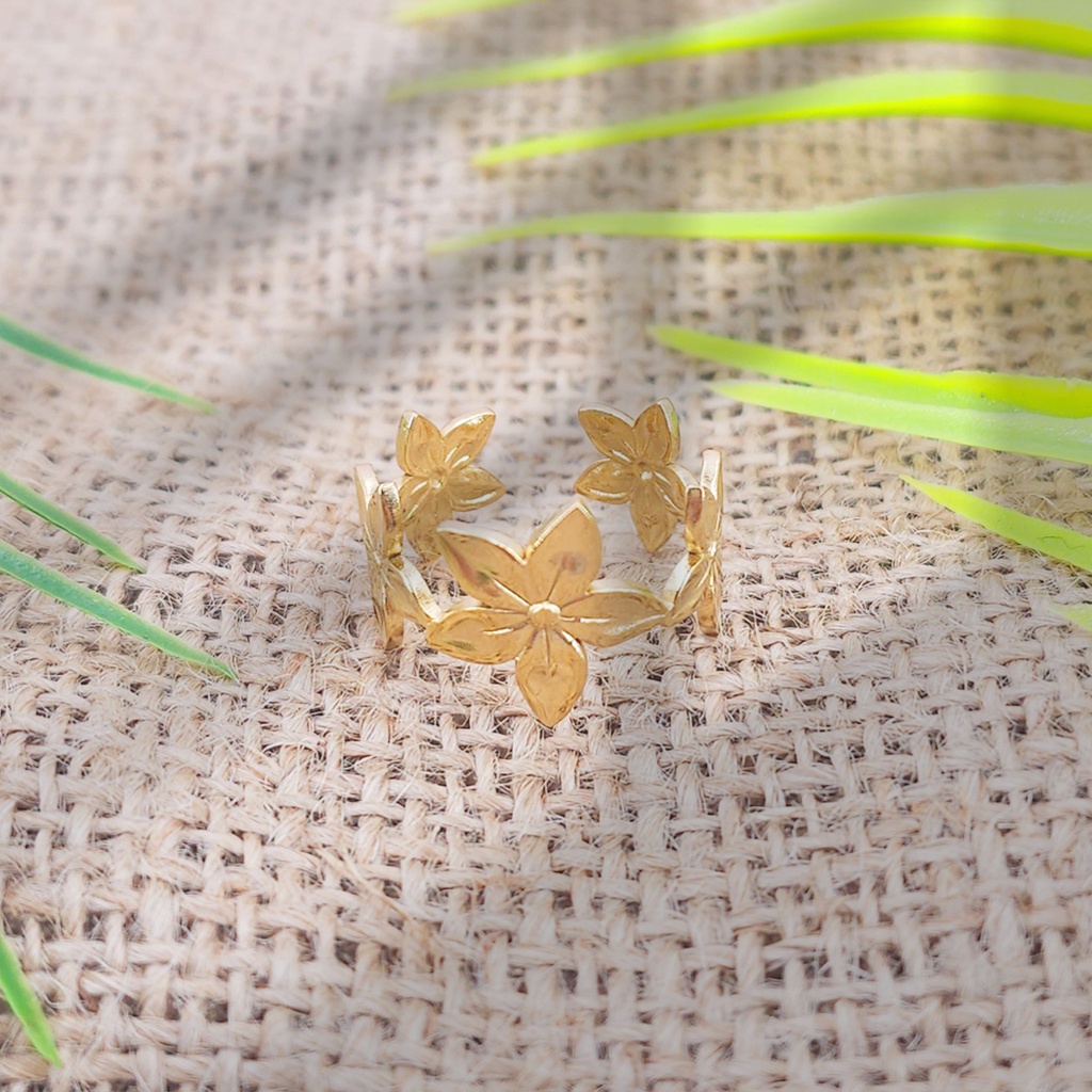 Anillo Acero