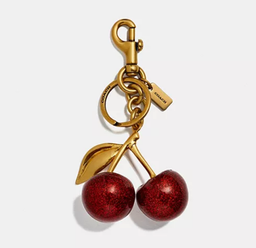 Llavero Coach (copia)