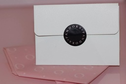 Bolsa Pandora Papel Para Charm