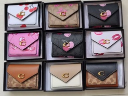 Billetera Cruzada Coach BESOS (copia)