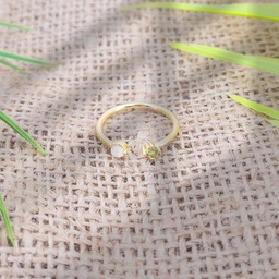 Anillo Brass