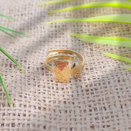 Anillo Brass